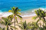 Palm trees, ocean waves and beach, Acapulco, Mexico, the Pacific Ocean