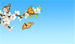 Flowers of cherry and monarch butterflies (Danaus plexippus, Nymphalidae). On blue sky background