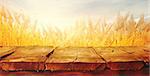 Wheat field with wood planks. Empty tabletop. Table with wheat.Beautiful Nature Sunset Landscape. Rural Scenery with golden wheat. Agriculture background with Harvest