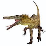 Austroraptor was a carnivorous theropod dinosaur that lived in Argentina in the Cretaceous Period.