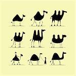 Camel set, sketch for your design. Vector illustration