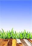 Summer grass and old wooden planks. On blue sky background