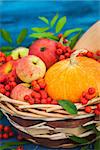 Autumnal still life with pumpkins, apples and rowanberry in a basket on blue wooden background