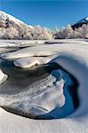 Winter landscape with trees covered in hoarfrost and frozen pond. Celerina, Engadin, Graubunden, Switzerland.