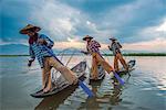 Inle lake, Nyaungshwe township, Taunggyi district, Myanmar (Burma). Thee local fishermen rowing in row.