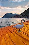 Europe, Italy, the Floating piers in iseo lake, province of Brescia.