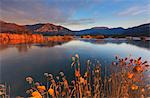 Europe, Italy, sebino natural reserve at dawn, province of Brescia.