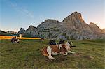 Pastures at dawn, three peaks nature park, Bolzano Province, Trentino Alto Adige, Italy.