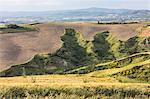 The curved shapes of the multicolored hills of the Crete Senesi (Senese Clays) province of Siena Tuscany Italy Europe