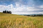 Clouds frame the gentle green hills of Val d'Orcia province of Siena Tuscany Italy Europe