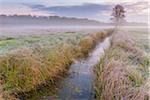 Stream and tree in misty meadow in Autumn at dawn in Hesse, Germany