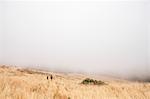Mother and sons walking in misty field, Fairfax, California, USA, North America