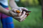 Person holding newts, close-up