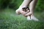 Newt on teenage boys foot, close-up