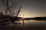 Man paddle boarding on water at sunset