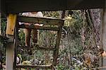 Cropped view of girl climbing steps of tree house