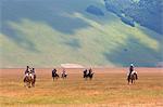 Europe,Italy,Umbria,Perugia district,Castelluccio of Norcia. Horse riding