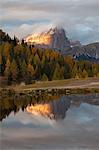 Laste Alm, Dolomites, Rocca Pietore, Belluno, Veneto, Italy.