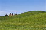 Farmhouse with cypresses on the hills. Orcia Valley, Siena district, Tuscany, Italy.
