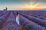 Woman at dawn in a lavender field. Plateau de Valensole, Alpes-de-Haute-Provence, Provence-Alpes-Cote d'Azur, France.