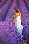 Woman in a lavender field. Plateau de Valensole, Alpes-de-Haute-Provence, Provence-Alpes-Cote d'Azur, France, Europe.