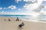 Tree trunks on the beach framed by the crystalline Caribbean Sea Ffryers Beach Antigua and Barbuda Leeward Islands West Indies