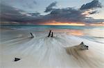 Caribbean sunset frames tree trunks on Ffryers Beach Antigua and Barbuda Leeward Islands West Indies