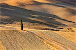 Europe,italy,Tuscany,Siena district,Orcia valley.