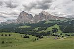 Alpe di Siusi/Seiser Alm, Dolomites, South Tyrol, Italy. View from the Alpe di Siusi to the peaks of Sassolungo/Langkofel and Sassopiatto / Plattkofel