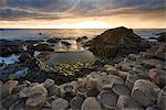 Giant's Causeway, County Antrim, Ulster region, northern Ireland, United Kingdom. Iconic basalt columns.