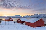 Typical fishing village overlooking the fjord. Nordmannvik, Kafjord, Lyngen Alps, Troms, Norway, Lapland, Europe.