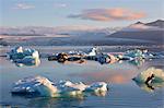 Icebergs in Jokulsarlon Glacier Lagoon during a sunrise, Austurland, Eastern Iceland, Iceland
