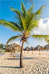 Bavaro Beach, Bavaro, Higuey, Punta Cana, Dominican Republic.