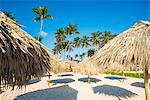 Bavaro Beach, Bavaro, Higuey, Punta Cana, Dominican Republic. Thatch beach umbrellas.