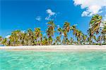 Canto de la Playa, Saona Island, East National Park (Parque Nacional del Este), Dominican Republic, Caribbean Sea.