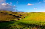 Val d'Orcia,Siena province, Tuscany district, Italy