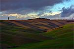 Hills of the Val d'Orcia, province of Siena, Tuscany, Italy.