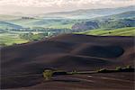 Europe, Italy, Tuscany hills in Orcia valley, province of Siena, Tuscany.