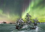 Northern lights and starry sky on the snowy landscape and the frozen trees Levi Sirkka Kittilä Lapland region Finland Europe