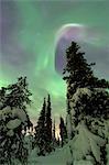 Green lights of the Aurora Borealis on the snowy woods Pallas Yllästunturi National Park Lapland region Finland Europe