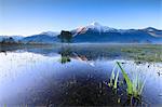 The snowy peak of Mount Legnone reflected in the flooded land at dawn Pian di Spagna Valtellina Lombardy Italy Europe