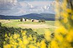 Vitaleta chapel among Val d'Orcia hills, Province of Siena, Tuscany, Italy