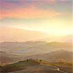 Sunny Tuscany counryside  landscape at gentle sunrise light.  Italy, Europe