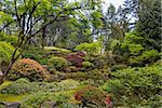 Upper Pond at Portland Japanese Garden in Spring Season