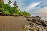 Wide angle view of pacific ocean, beach and palm tree forest in Drake Bay, Costa Rica