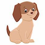 Vector illustration of a brown cute puppy for design element