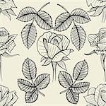 Hand drawn seamless pattern with roses. Black and white doodle floral elements. Monochrome flowers and leaves. Vector sketch.