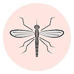 Outline mosquito vector icon, colored gray gnat icon