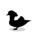 Mandarin bird Aix galericulata black silhouette animal. Vector Illustrator.