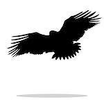 Eagle hawk golden eagle bird black silhouette animal. Vector Illustrator.